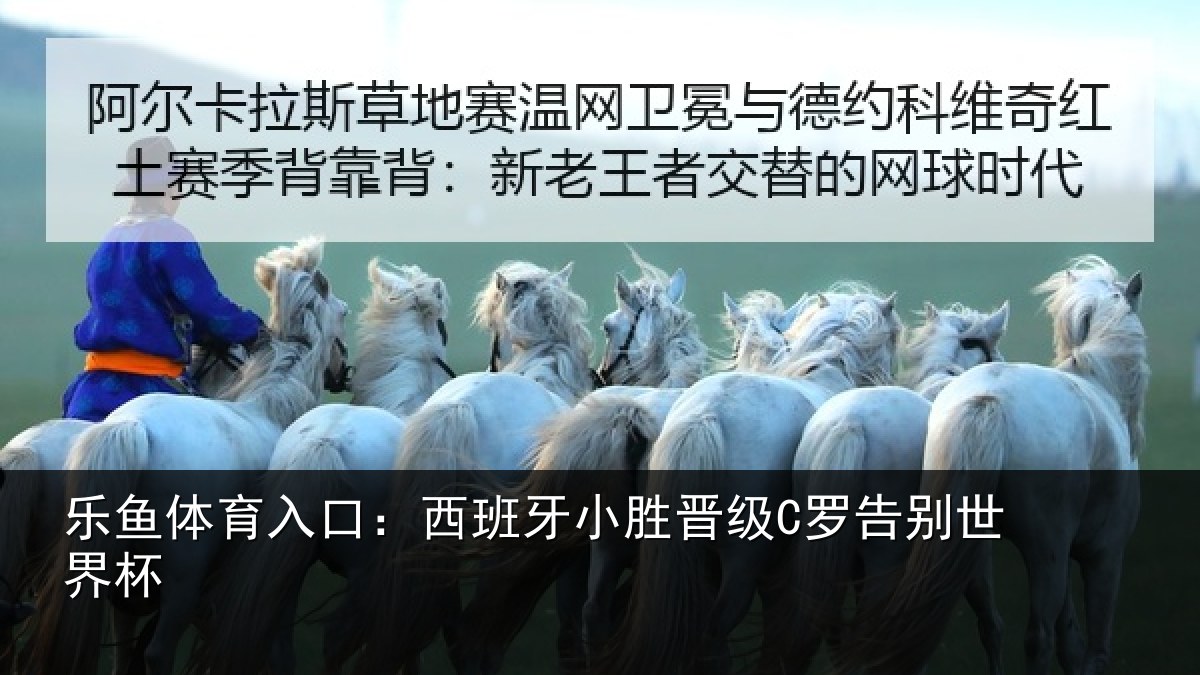 乐鱼体育入口：西班牙小胜晋级C罗告别世界杯