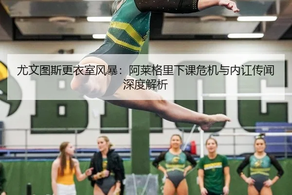 you-wen-tu-si-geng-yi-shi-feng-bao-a-lai-ge-li-xia-ke-wei-ji-yu-nei-hong-chuan-wen-shen-du-jie-xi-3-542.jpg