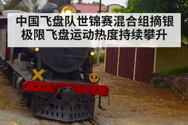 中国飞盘队世锦赛混合组摘银 极限飞盘运动热度持续攀升